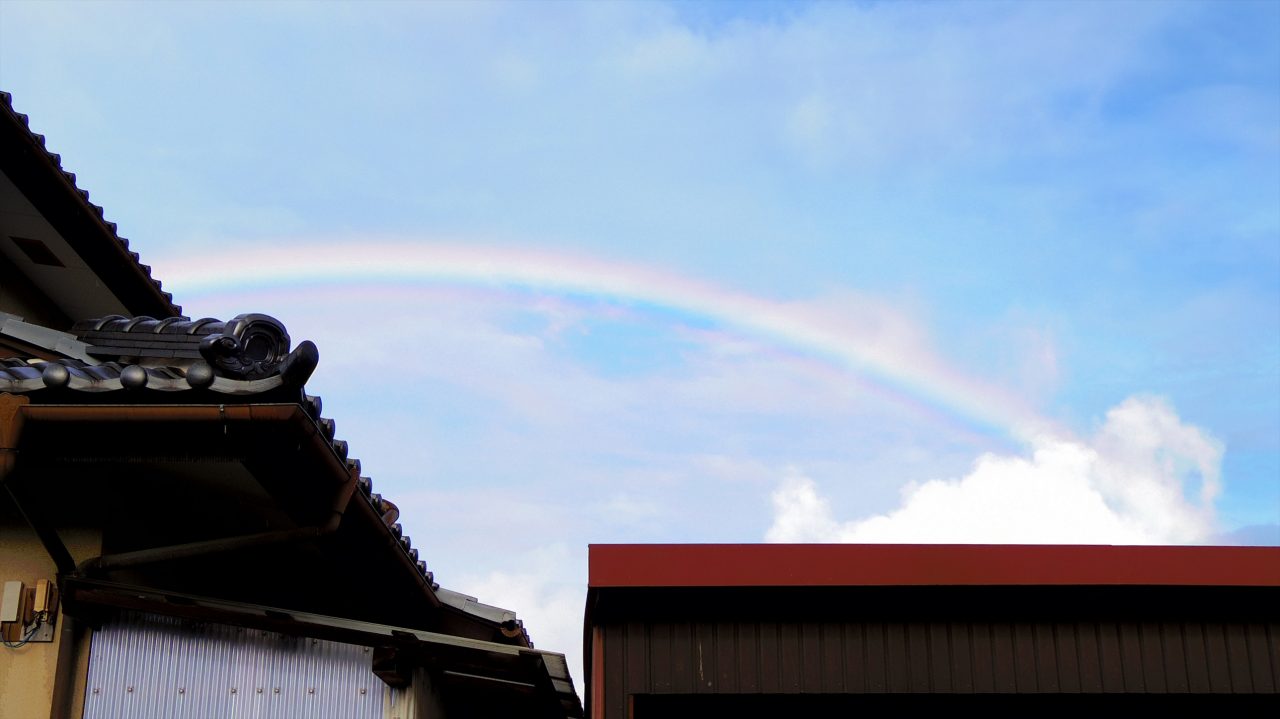 rainbow_16_13