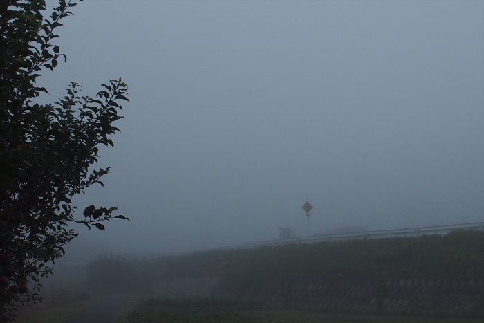 morning-fog_02